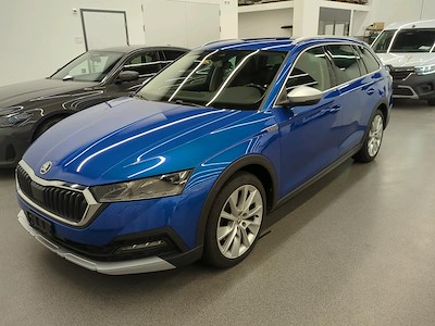 Buy SKODA OCTAVIA on Ayvens Carmarket